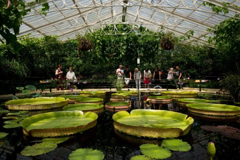 Kew Gardens w Londynie
